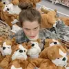 teresa peter - @teresa_peter1 - TikTok