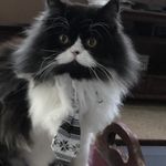 Teresa Rector - @adventuresofhappyplacerector - Instagram