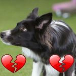 Theresa Rector - @rectortheresa - Instagram