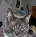 Teresa Rich - Facebook