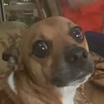 Teresa Rich - @tmr1320 - Instagram