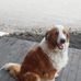 Teresa Rust - Facebook