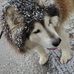 Teresa Rust - Facebook