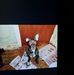 Teresa Sample - Facebook