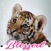Teresa Sample - Facebook