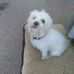 Teresa Samples - Facebook