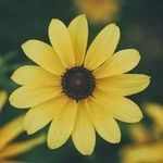 Teresa Smith Schuster - @teresasmithschuster - Instagram