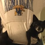 Teresa Settles - @teresa.settles.902 - Instagram