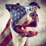 Teresa sharp - @teresasharp50 - Instagram