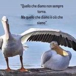 Teresa Simone - @teresa.simone.77 - Instagram