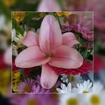 Teresa Seitz - @teresa_seitz - Instagram