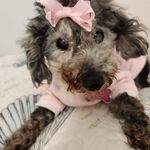Teresa Goldfuss Slagle - @slagle3256 - Instagram