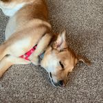 Teresa Slagle Claypool - @tbclaypool - Instagram