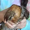 teresaslagle - @teresaslagle - TikTok