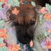 Teresa Slaughter - Facebook