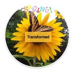 Teresa Patterson Sloop - @teresa_sloop - Instagram