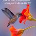 Teresa SLop - Facebook