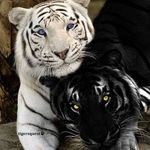 Teresasly - @teresa_sly - Instagram