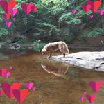 Teresa Van Schie Small - @teresa.small - Instagram