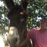 Teresa Jenkins Smart - @teresa_jenkins_smart - Instagram