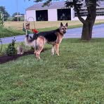 Teresa Ann Noecker - Facebook