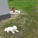 Teresa Socha - Facebook