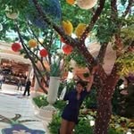Teresa Solda - @soldateresa - Instagram
