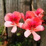 Maria Teresa Solorio - @soloriomariateresa - Instagram