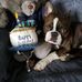 Teresa Sorg - Facebook