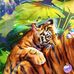 Teresa Spake - Facebook