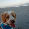 Teresa Speed - @funwithtspeed - TikTok