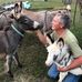 Teresa Speed - Facebook