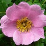 Teresa Spence - @treesoceansky - Instagram