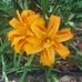 Teresa Spence - Facebook