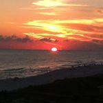 Teresa Steadman - @teresa.b.steadman - Instagram