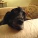 Teresa Stringer - Facebook