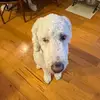 Teresa Stuart - @user9713623969496 - TikTok