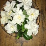 Teresa Butter - @teresa_butter - Instagram