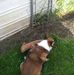 Teresa Utter - Facebook