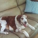 Teresa Utterback - @utterbackteresa - Instagram