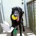 Teresa Westfall - Facebook