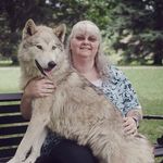 Teresa Westfall-Knight - @wolf_lover1212 - Instagram