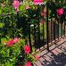 Teresa Willmott - Facebook