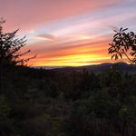 Terese Smith Prescott - @tereseprescott.sanjuanislandre - Instagram