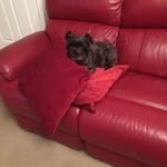 Teressa Jones - @teressa.jones1 - Instagram