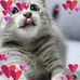 Teri Abrams - Facebook