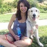 Teri Abrams Feldman - @terfeld - Instagram