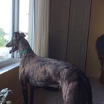 Teri McFadden Abrams - @teri.abramsta5920 - Instagram