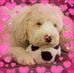 Terri Abrams Huntley - Facebook