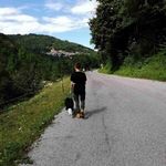 Archer - @teri_archers20._ - Instagram